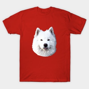 Samoyed  - Stunning Dog! T-Shirt